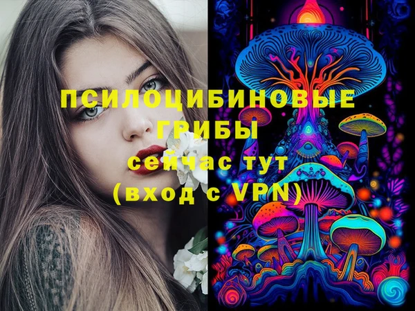 apvp Новокубанск