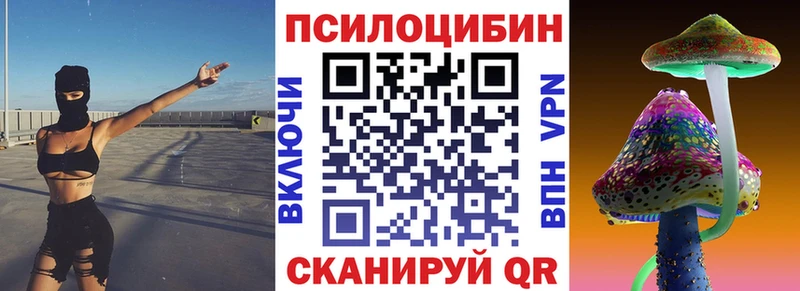 закладки  Красково  Галлюциногенные грибы Psilocybe 